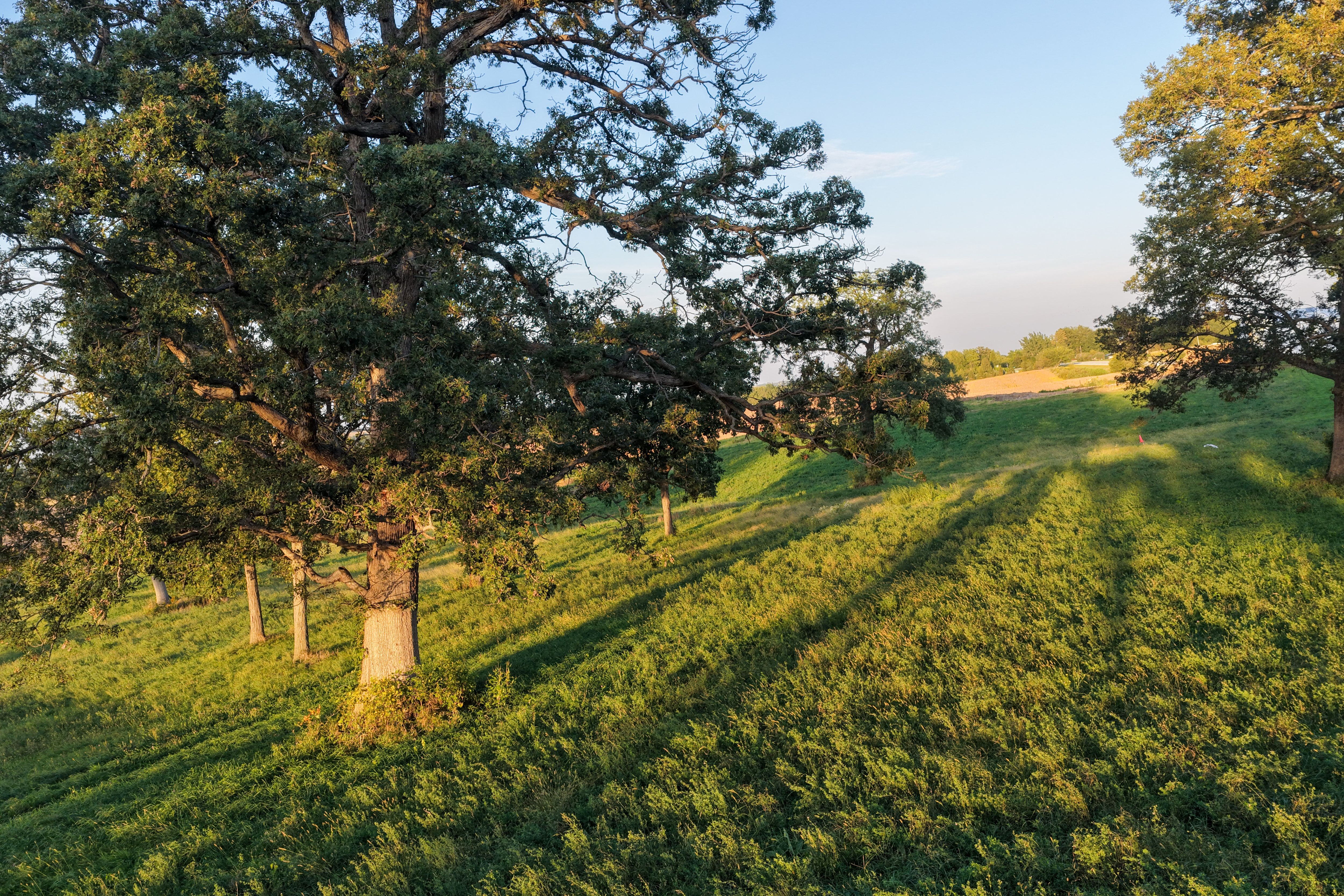 Listing Photo: Johnson County 4 Acre Building Site For Sale 22
